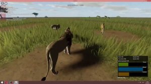 Roblox   Wild Savanna  Дикая Саванна2
