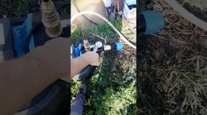 Абиссинская скважина Игла. Вода сразу после бурения.