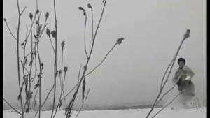 Остров Даманский  1969 год