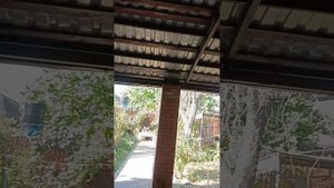 обзор дома в днт труд г. Батайск