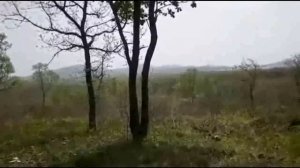 отряд 2045