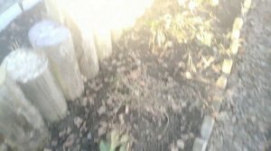 Началось! Что хотела, то и получила! Огородные Работы от Зари до Темна. Не разгибается Спина.