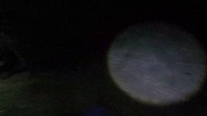 невероятно классная рыбалка судака на перемёт