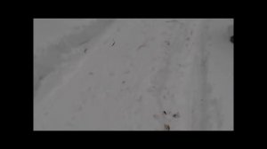 нива на и-511 по снегу