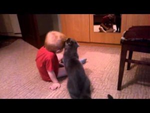 Мальчик и кот - лучшие друзья