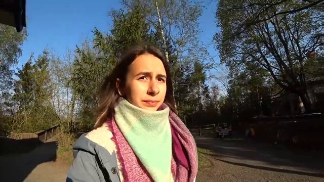 Что посмотреть в Стокгольме? // Гуляем по Скансену и кладбищу // достопримечательности Стокгольма