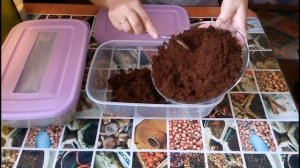 Перезапуск гриндальского червя на свежий субстрат