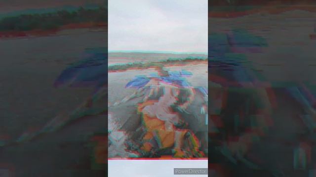 Река Ока в Пущино: на моторной лодке отправились покормить оленей