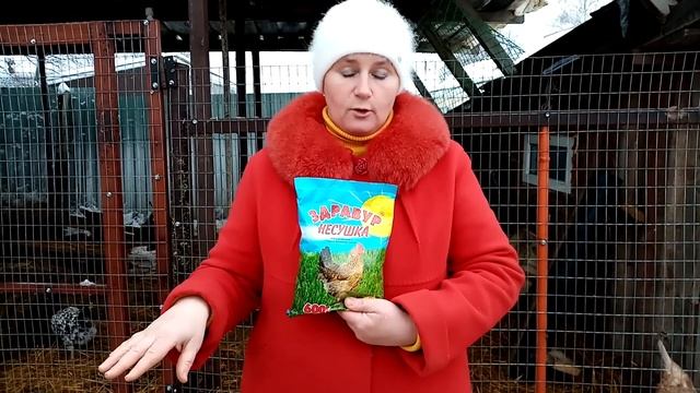 Мой метод, как увеличить яйценоскость кур зимой. смотреть онлайн