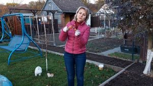 Дача в Германии / Не Упускаем Момент. Высаживаем Лук и Чеснок под Зиму. @galabum