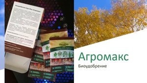 Отзыв на удобрение Агромакс (AgroMax). Ягод стало в 2 раза больше!