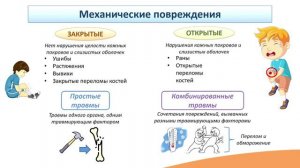 11.1. Общие понятия о травмах