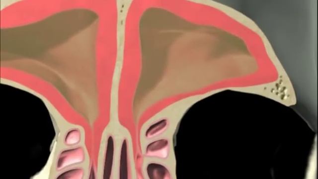 3D Sinus Animation смотреть онлайн