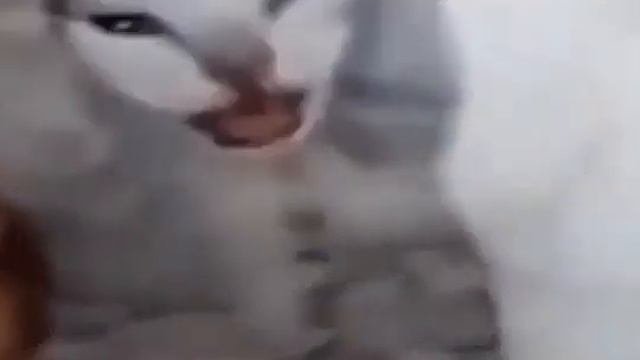 exodiatheretarded0ne - YouTube