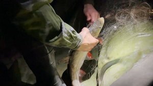 РЫБАЛКА на ПЕТРОПАВЛОВСКОМ ОЗЕРЕ | ЗАЛИВ