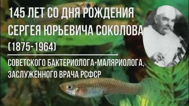 4 августа — 145 лет со дня рождения Сергея Юрьевича Соколова (1875 - 1964).