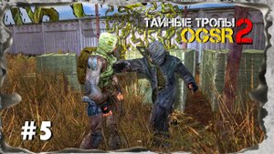 S.T.A.L.K.E.R. Тайные Тропы 2 OGSR #5 ►Легендарное трио