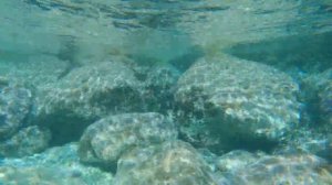 В воде моря