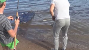 Фидерная рыбалка на Усть-Луге (Часть 2)