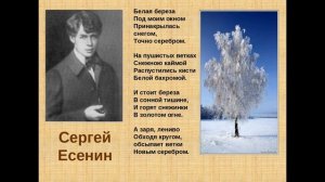 Стихотворение С.А. Есенин "Берёза" (Стихи Русских Поэтов) Аудио Стихи Слушать Онлайн