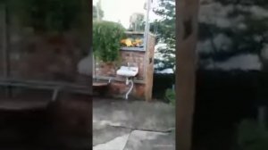 Дача в Крыму пгт Орджоникидзе