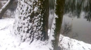 Как развести зимой костёр