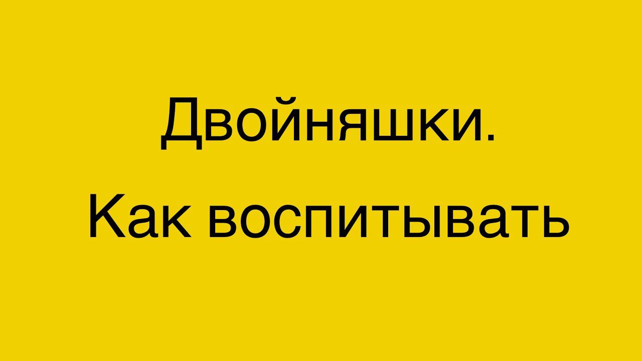 Двойняшки. Как воспитывать?! 2 года