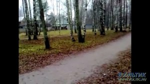 Электровелосипед Volteco Freego 250