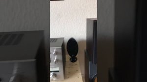 Tannoy Mercury V1
