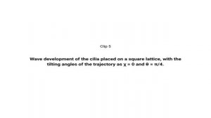 Conditions for metachronal coordination in arrays of model cilia