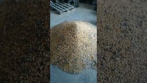 комбикорм для быков