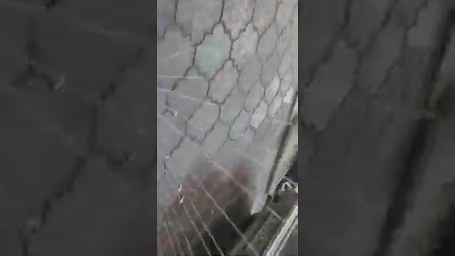 Веерный распылитель GRINDA 418 м² (429341) смотреть онлайн