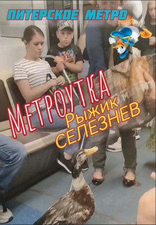 "Утка Рыжик Селезнёв в Питерском метро помогает зарабатывать денежки своей хозяйке