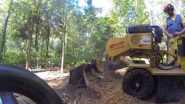 Выкорчевка пней в Москве и Московской области. Grinding stumps in Russia.