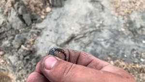 ПЛЯЖ ГДЕ НАШЁЛ ЗОЛОТО!/пляжно-водный поиск /с эквинокс 800