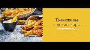 Что такое жиры - Наука простыми словами