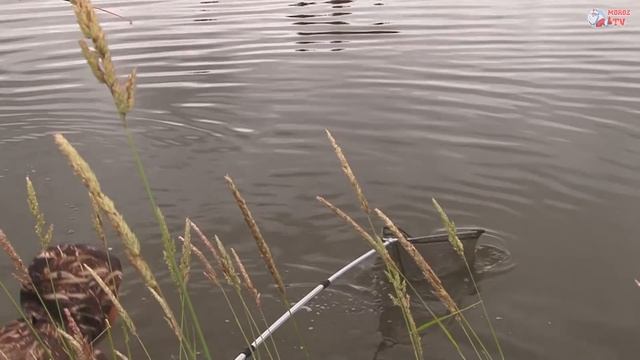 Макушка лета 2015 смотреть онлайн