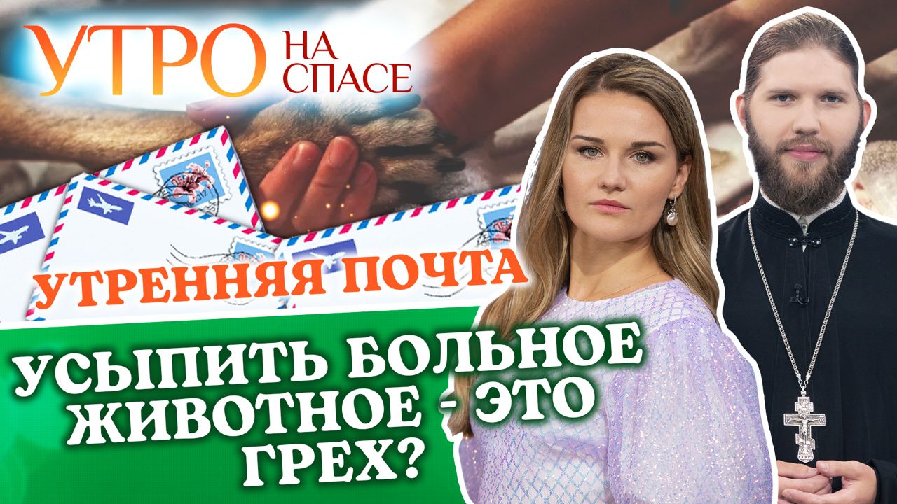 УСЫПИТЬ БОЛЬНОЕ ЖИВОТНОЕ - ЭТО ГРЕХ? УТРЕННЯЯ ПОЧТА