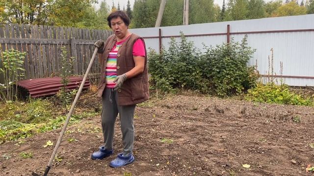 КОПАЕМ КАРТОШКУ. НАШ УРОЖАЙ2022.
