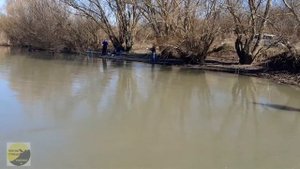 Варнавинское сброс! Тарань и окунь рыбалка на кубани #Рыбалка #Тарань #Крымск #fishing #Варнавинско