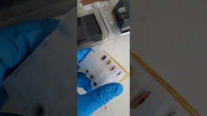 Печатающая головка HP 711. Комплект замены для плоттеров HP Designjet T120/T125/T130/T520/T525/T530