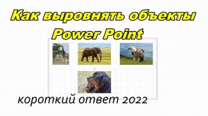 Как легко и быстро выровнять объекты Power Point