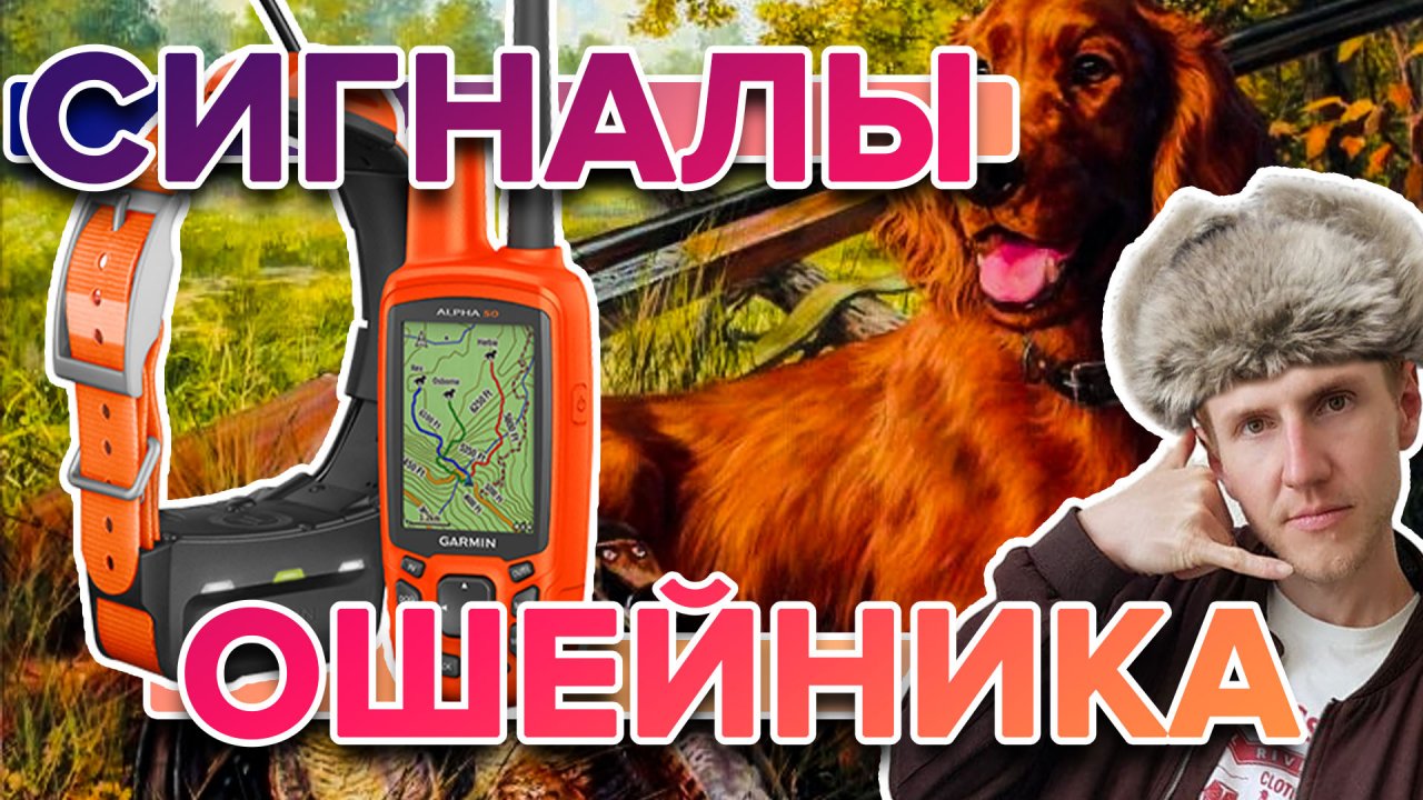 Инстсрукция Ошейник Garmin TT5 и TT15. Что означают мигания