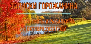 Охота. Рыбалка. Новости на 24 октября 2022 года