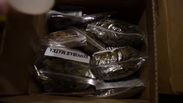 Купить лечебные травы? Это к нам! :) смотреть онлайн