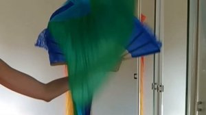 УРОК 1. КАК РАБОТАТЬ С ВЕЕРАМИ-ВЕЙЛАМИ. Уроки танца живота онлайн.