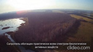 Добыча сапропеля. Озеро Белое