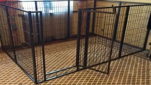 Барьер для собак: перегородка в квартиру