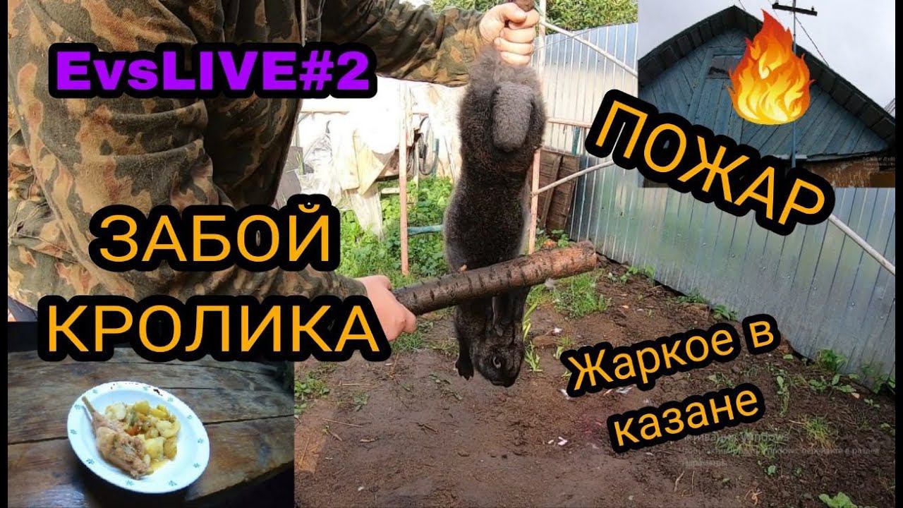 ЗАБОЙ КРОЛИКА. Жаркое из кролика в казане. ЗАГОРЕЛАСЬ крыша. Прокалываем железо поросятам.