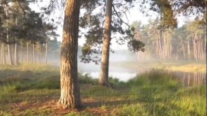 Медитация на ПРИВЛЕЧЕНИЕ ЛЮБИМОГО ЧЕЛОВЕКА • лучшая МЕДИТАЦИЯ перед сном ДЛЯ ЖЕНЩИН